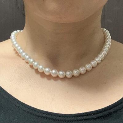 ユーザー投稿写真