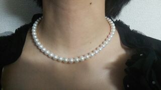 ユーザー投稿写真