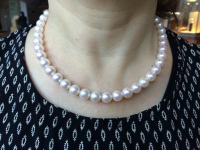 ユーザー投稿写真