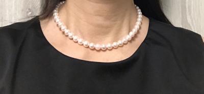 ユーザー投稿写真