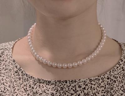 ユーザー投稿写真