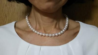 ユーザー投稿写真