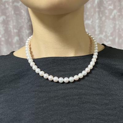 ユーザー投稿写真