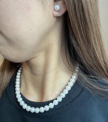 ユーザー投稿写真