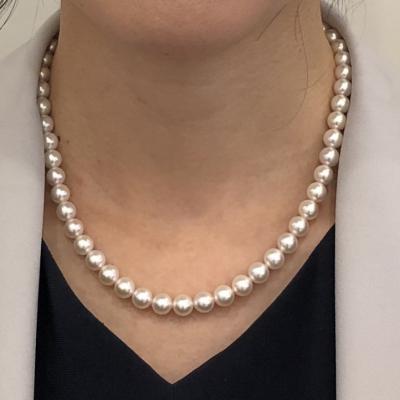 ユーザー投稿写真