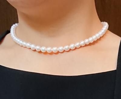 ユーザー投稿写真