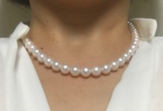 ユーザー投稿写真