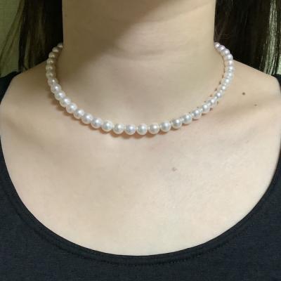 ユーザー投稿写真