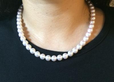 ユーザー投稿写真