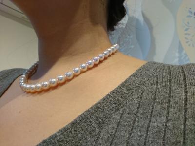 ユーザー投稿写真