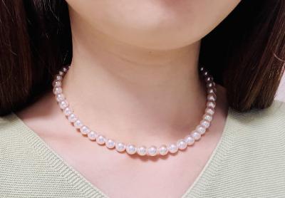 ユーザー投稿写真