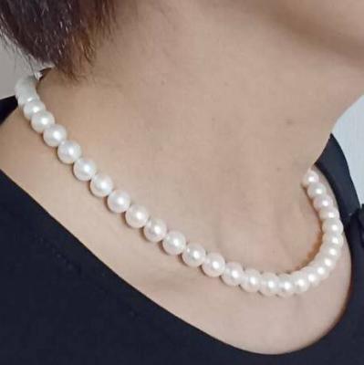 ユーザー投稿写真