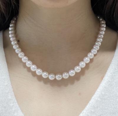 ユーザー投稿写真