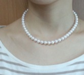 ユーザー投稿写真