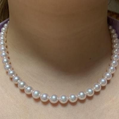 ユーザー投稿写真