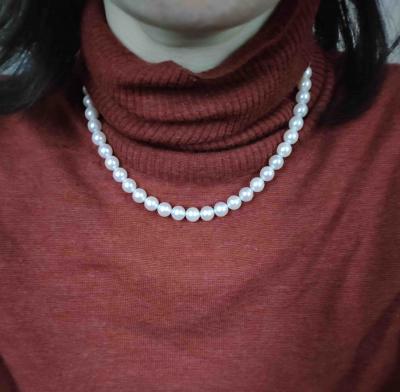 ユーザー投稿写真