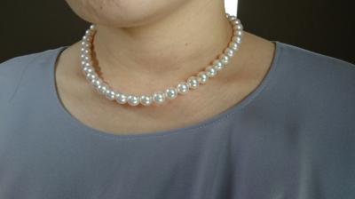 ユーザー投稿写真