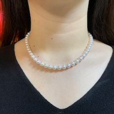 ユーザー投稿写真