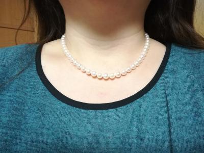 ユーザー投稿写真