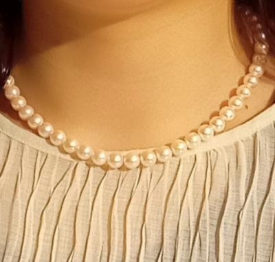 ユーザー投稿写真