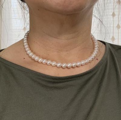 ユーザー投稿写真