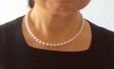 ユーザー投稿写真