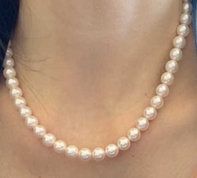 ユーザー投稿写真