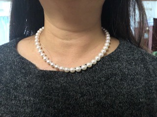 ユーザー投稿写真