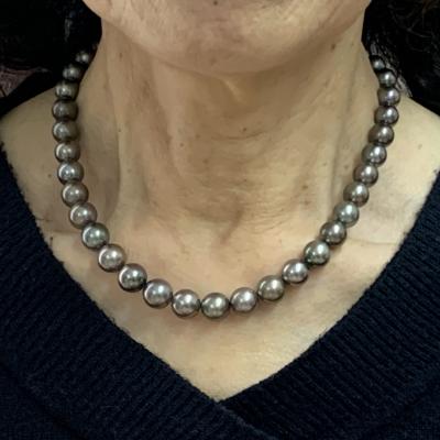 ユーザー投稿写真