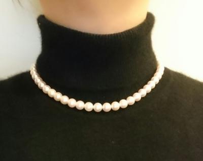 ユーザー投稿写真