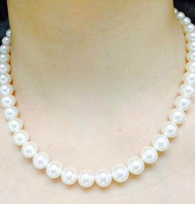 ユーザー投稿写真