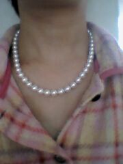 ユーザー投稿写真