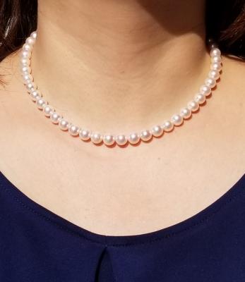 ユーザー投稿写真