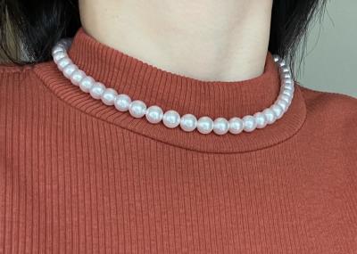 ユーザー投稿写真