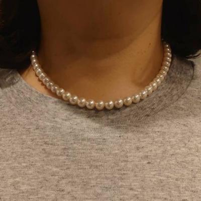 ユーザー投稿写真