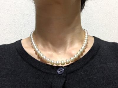 ユーザー投稿写真