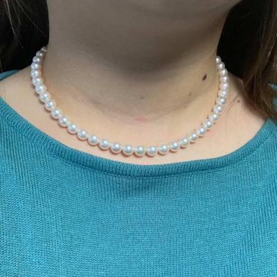 ユーザー投稿写真