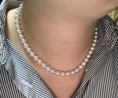 ユーザー投稿写真