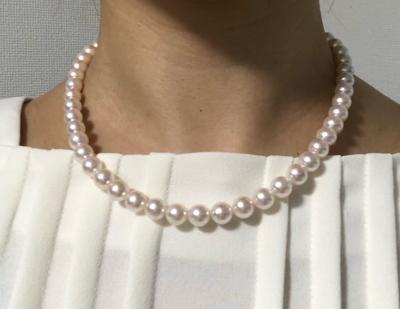 ユーザー投稿写真