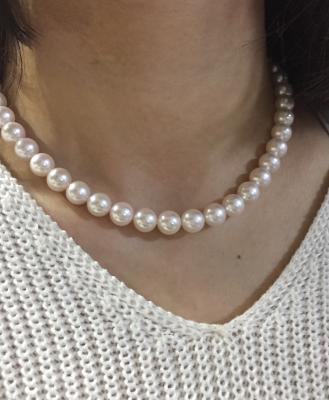 ユーザー投稿写真