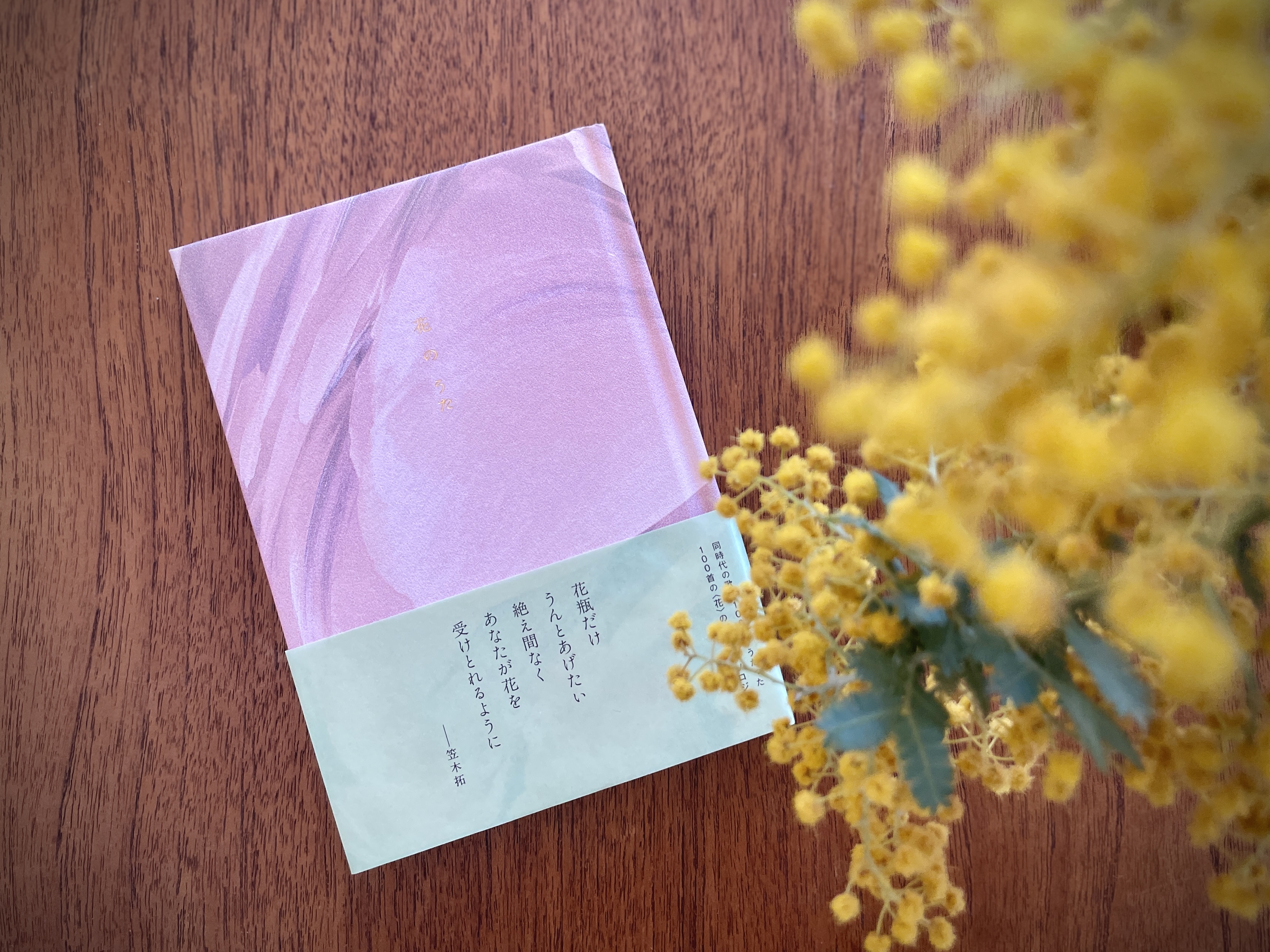 ミモザ、連なる言葉、その断片。