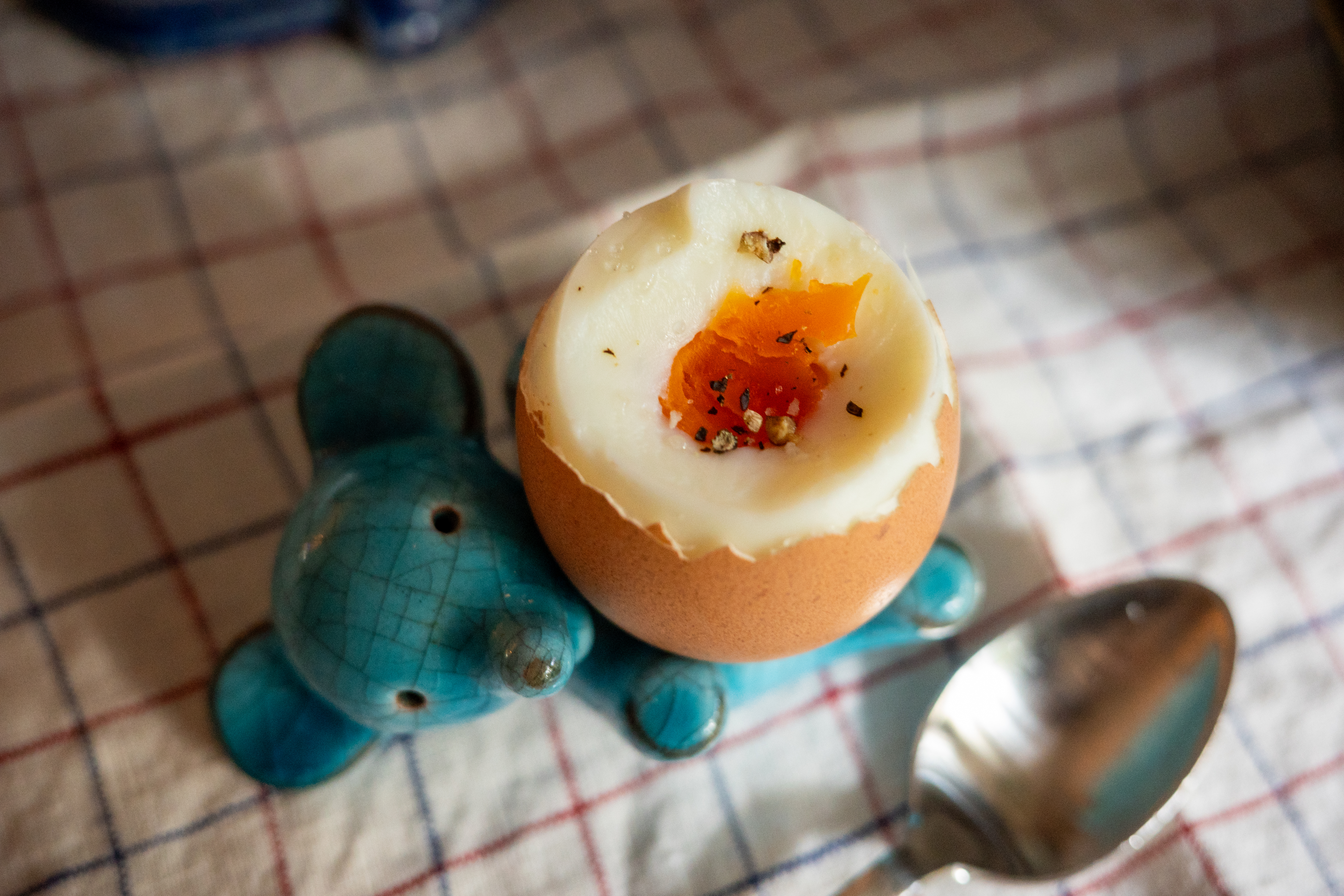 食いしん坊のクローゼット