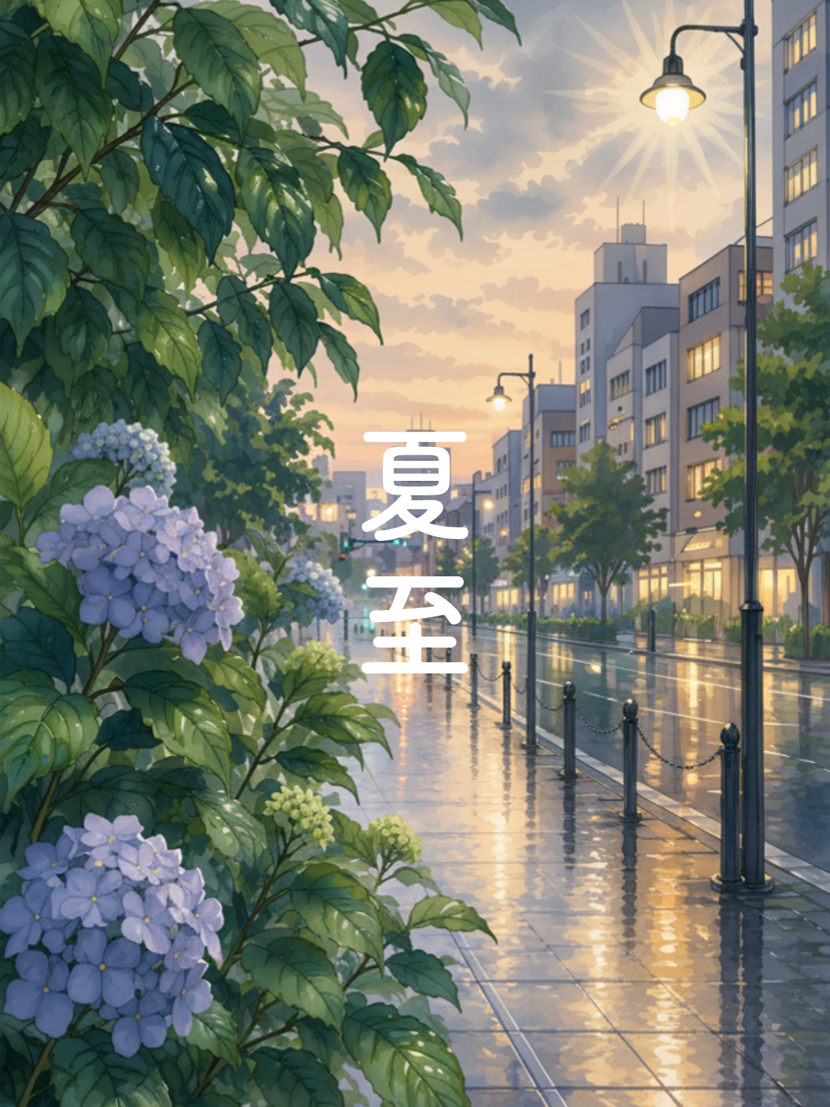 季節のお知らせ｜夏至