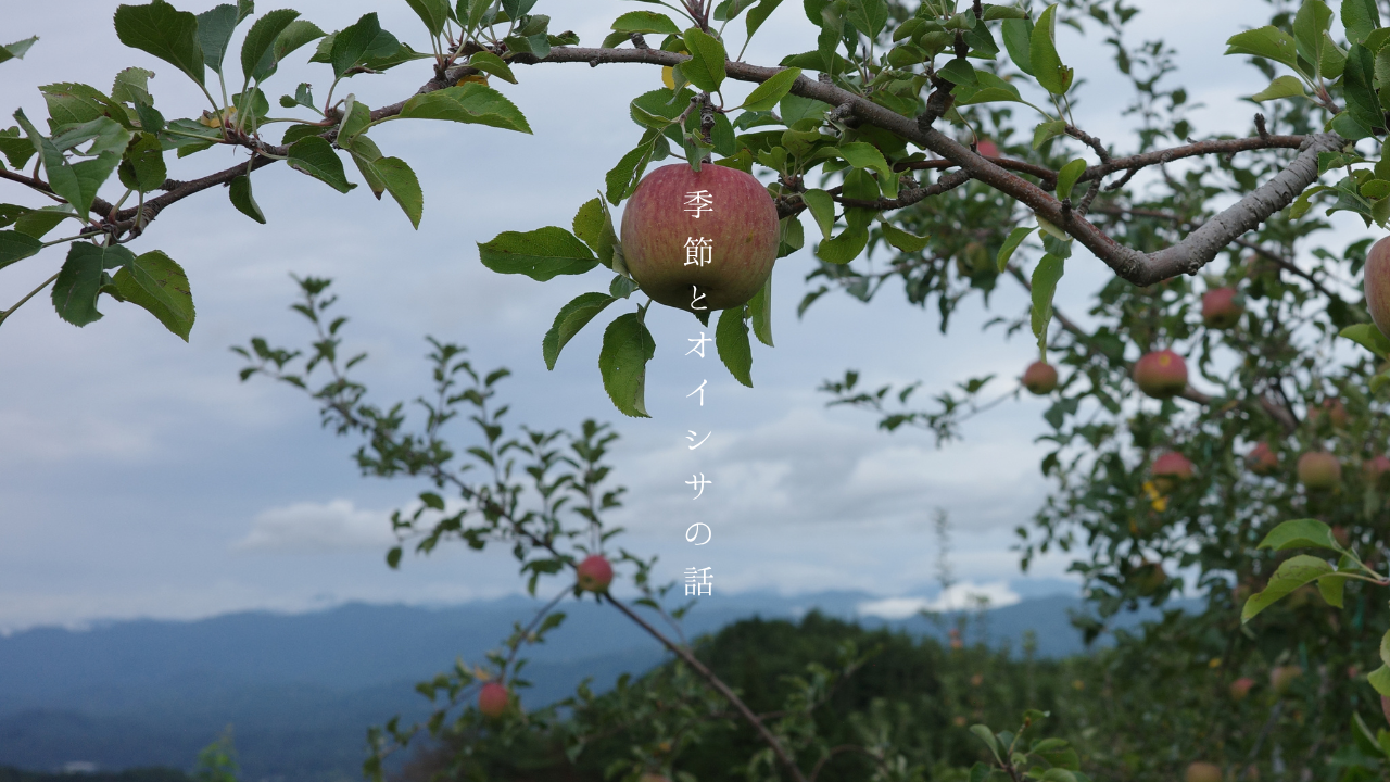 編集部