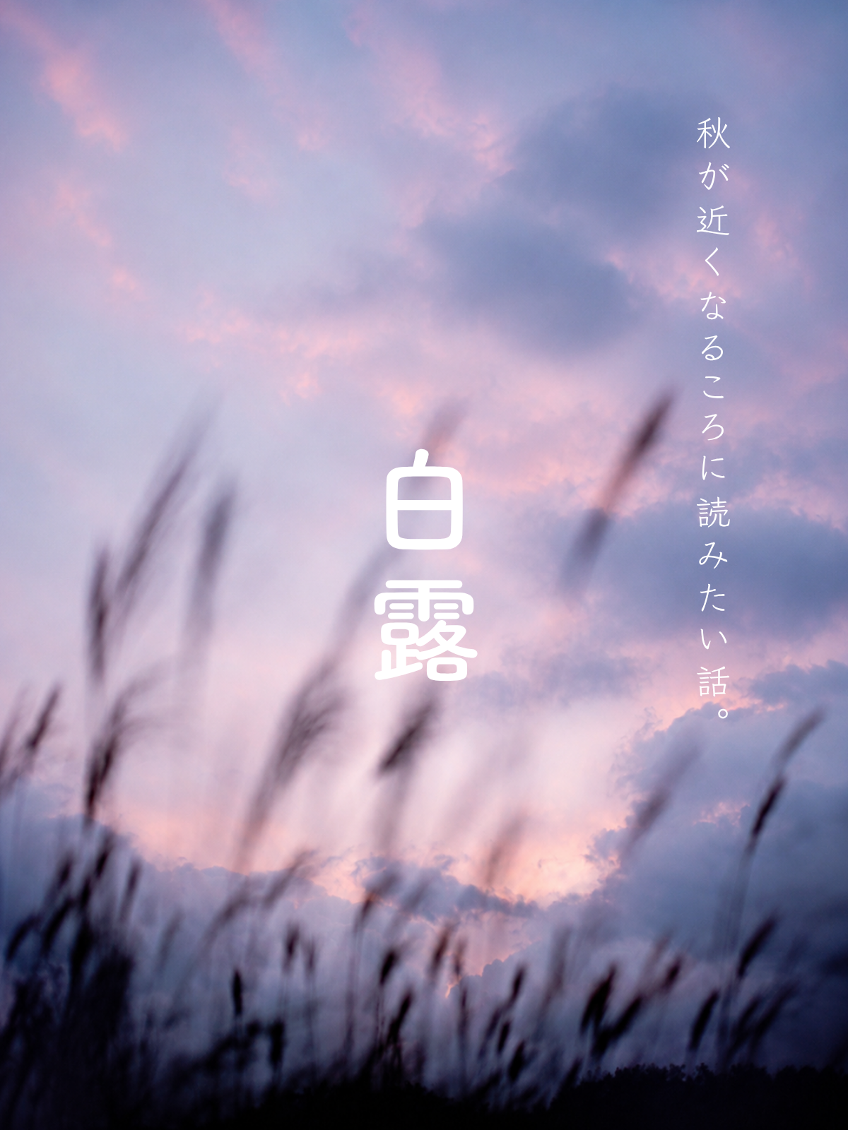 季節のお知らせ｜白露