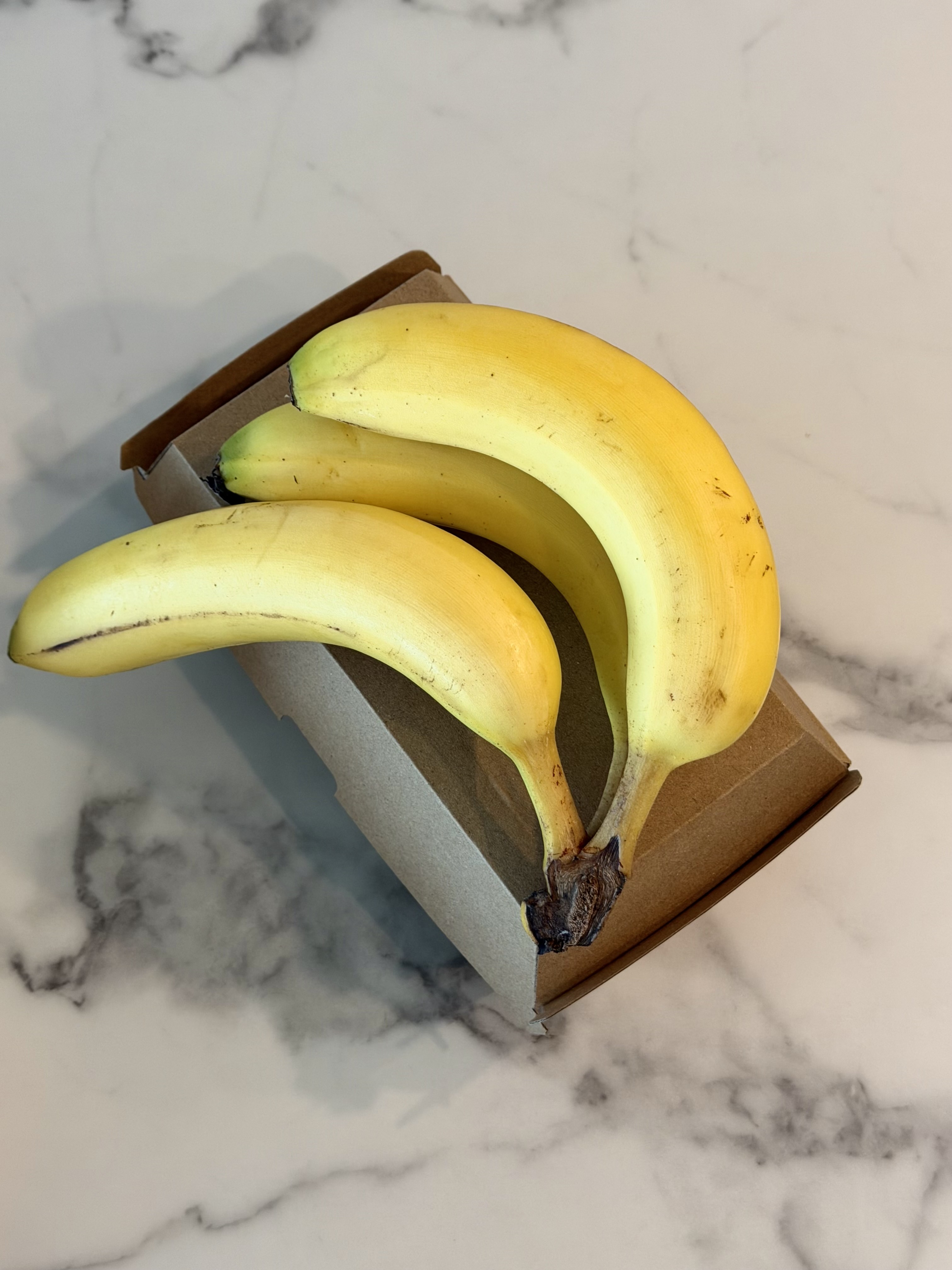 オーストラリア通信③