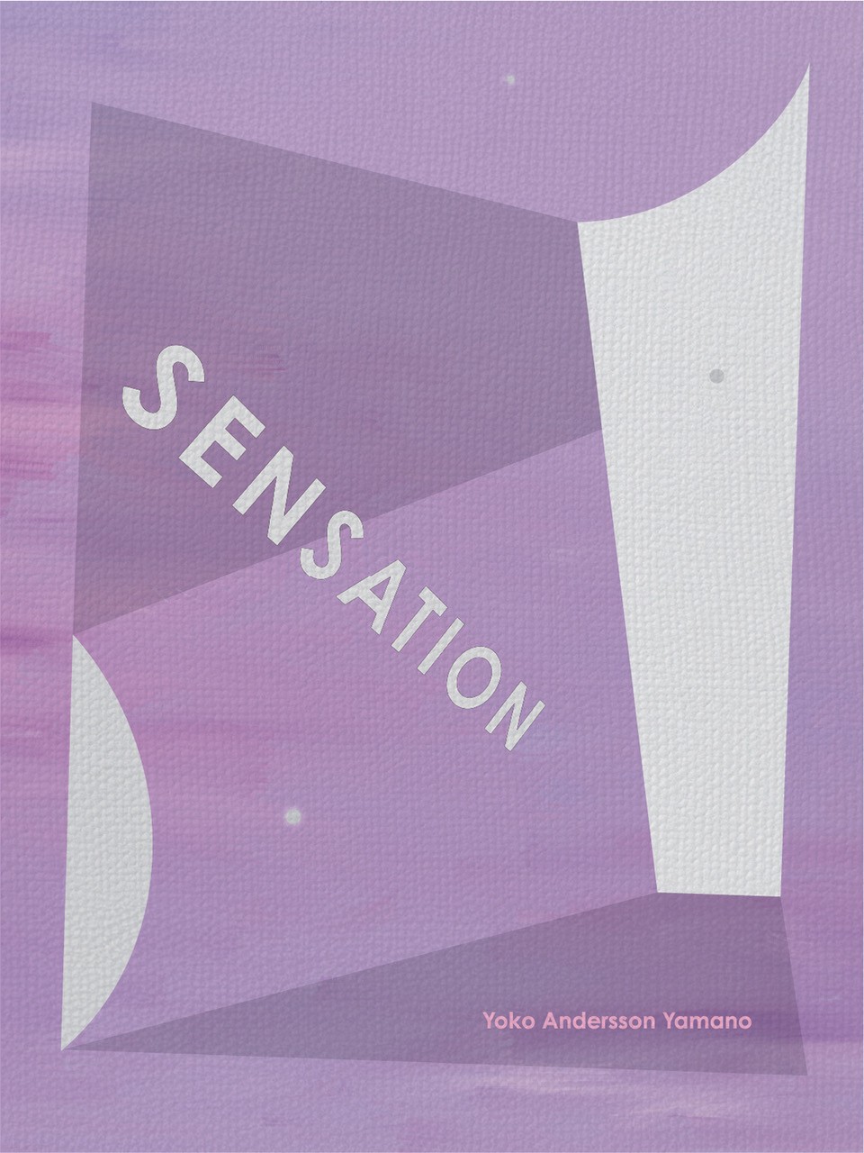 SENSATION／感触３