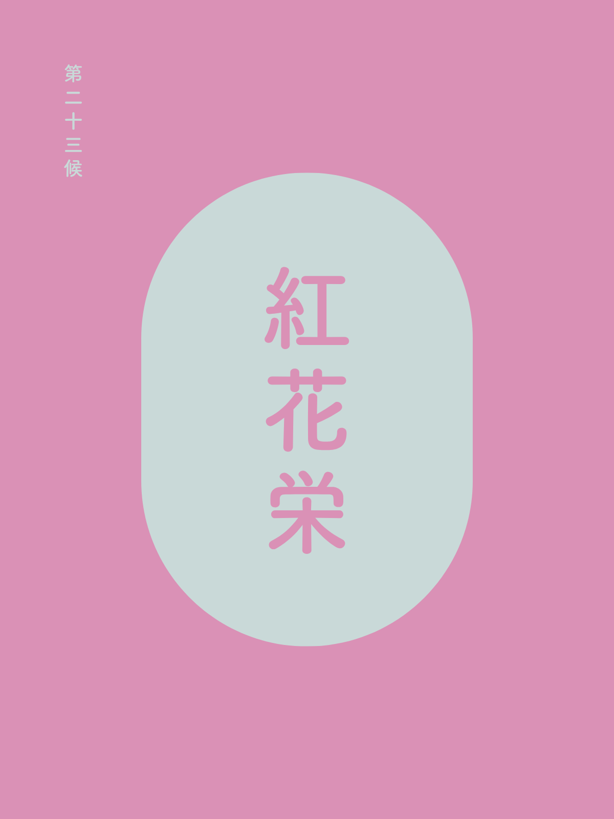 第二十三候｜紅花栄