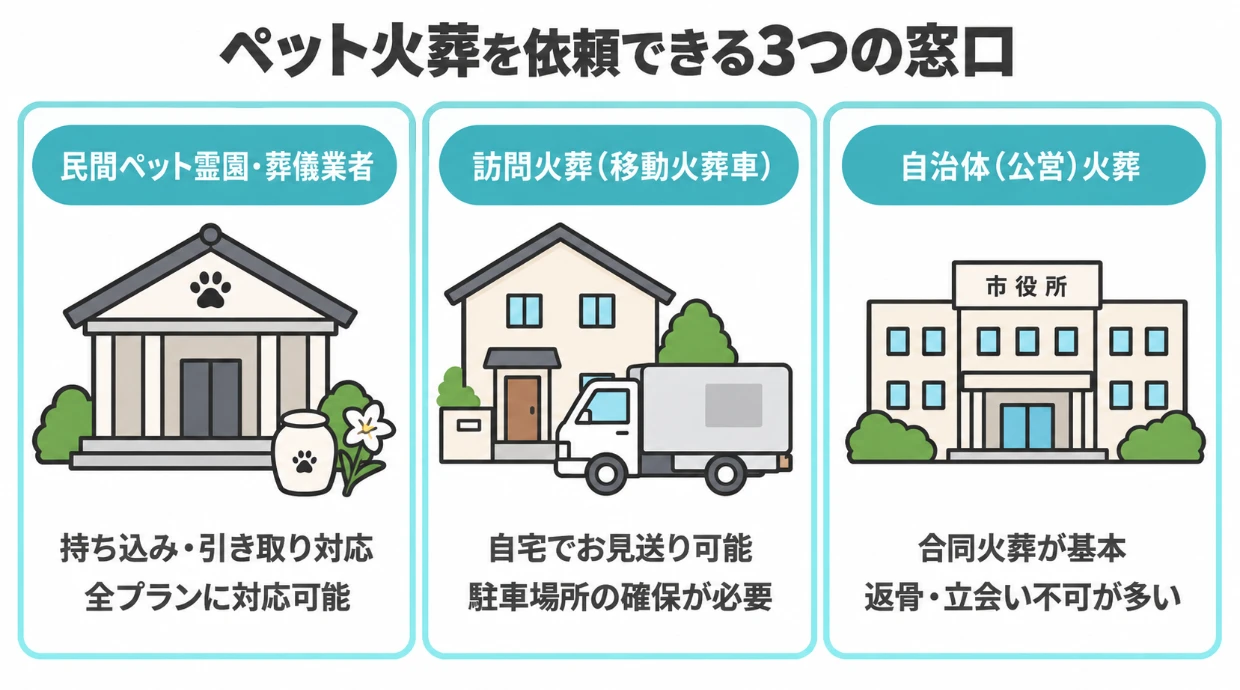 ペット火葬の依頼先3種類(民間霊園・訪問火葬・自治体)を比較