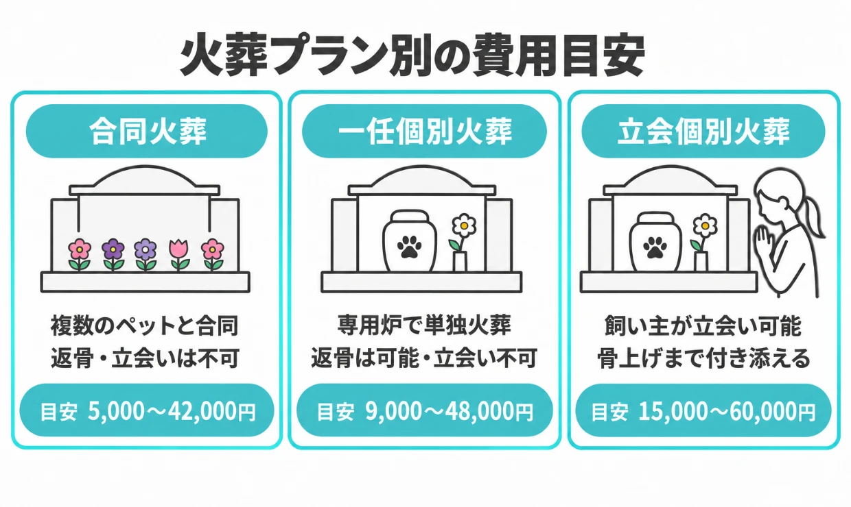 ペット火葬プラン別の費用目安と合同火葬・一任個別火葬・立会個別火葬の特徴